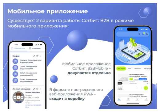 Сотбит: B2B портал Pro