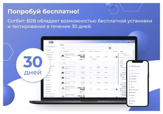Сотбит: B2B портал Pro