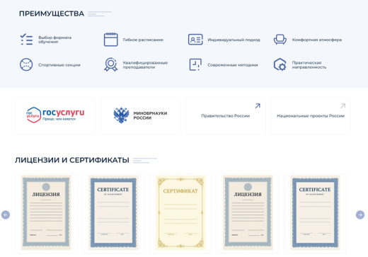 BS: Школа (ФЗ) - сайт школы, университета, колледжа, лицея, гимназии, интерната, института, ВУЗа