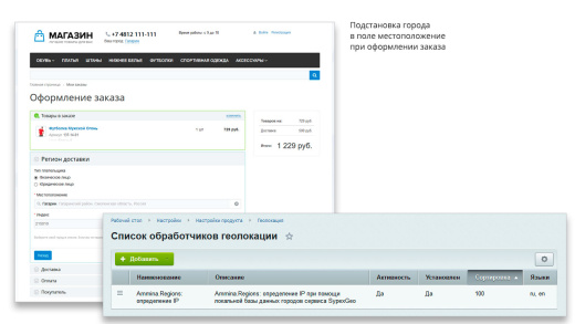 Ammina. Регионы (филиалы и представительства). Мультирегиональность на доменах и URL адресах