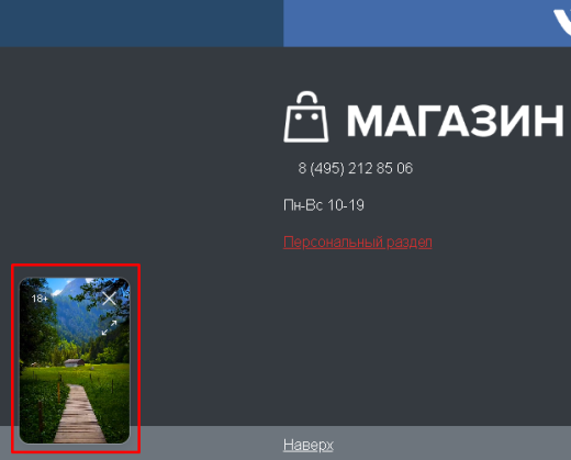 BX365: Видеовиджет для сайта