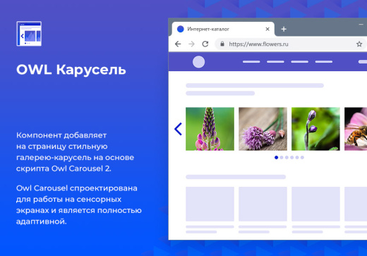 OWL Карусель