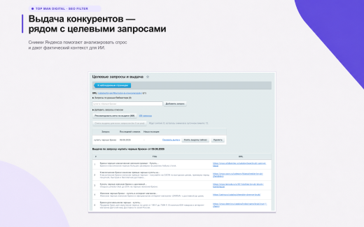Top Man Digital: SEO помощник