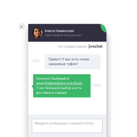 Онлайн консультант JivoSite
